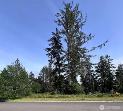 10 Sunrise Lane , South Bend, WA 98586 - Photo 6