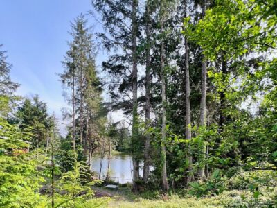 10 Sunrise Lane , South Bend, WA 98586 - Photo 10