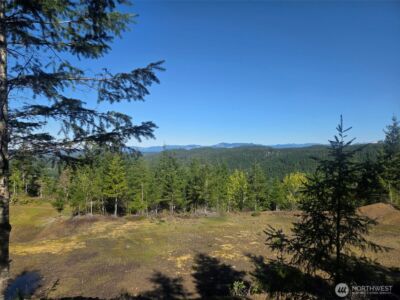 7241 W Cloquallum Road , Shelton, WA 98584 - Photo 1
