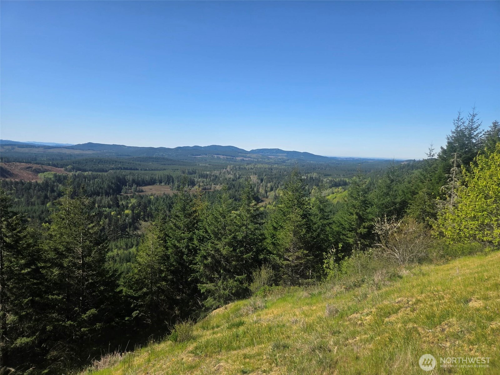 7241 W Cloquallum Road , Shelton, WA 98584