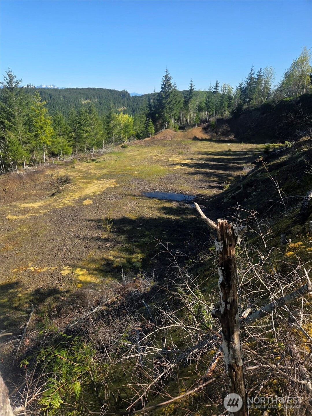 7241 W Cloquallum Road , Shelton, WA 98584
