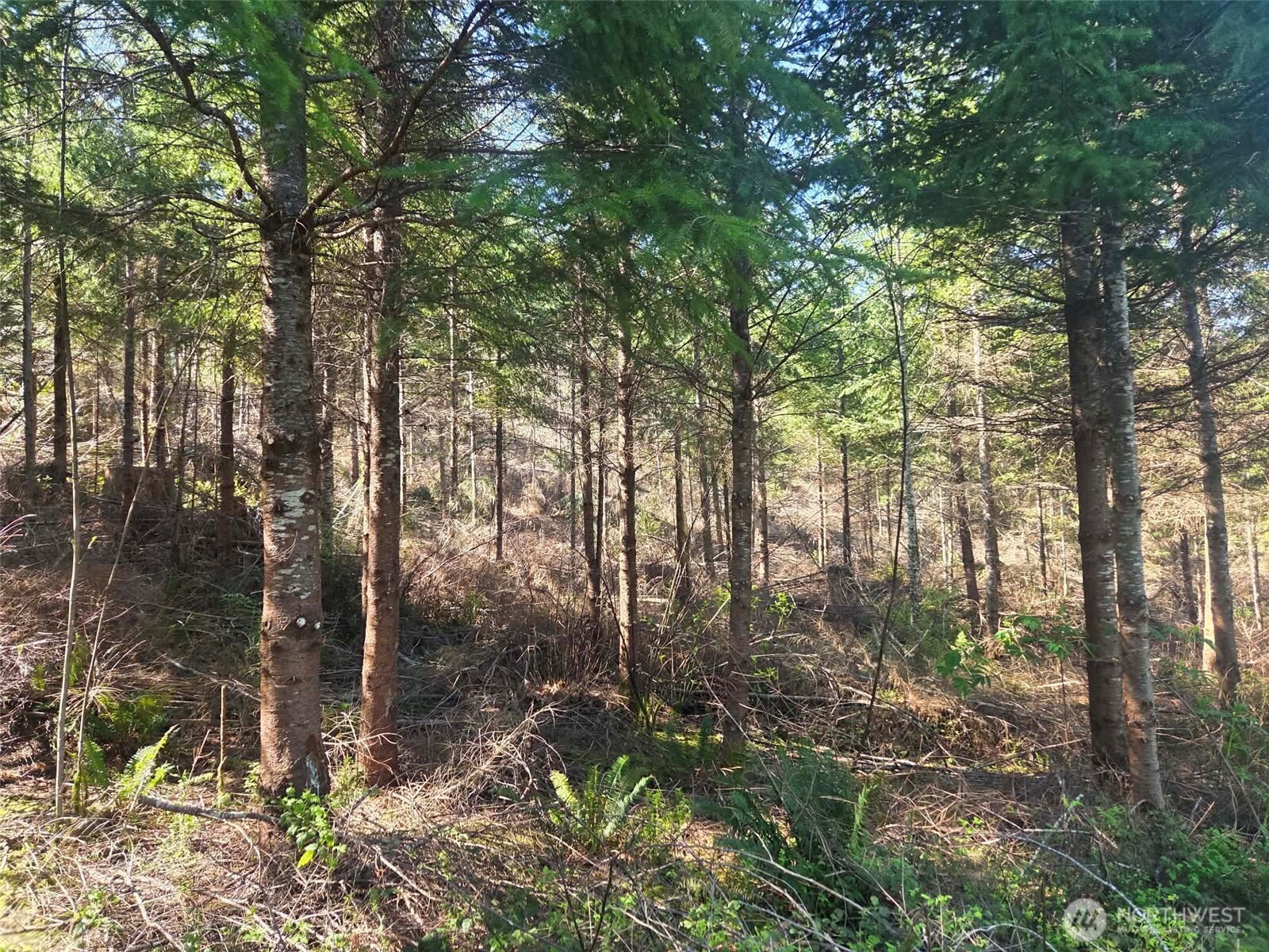 7241 W Cloquallum Road , Shelton, WA 98584
