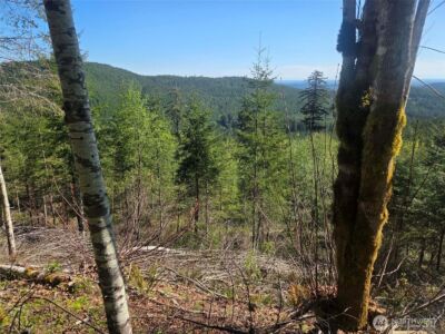 7241 W Cloquallum Road , Shelton, WA 98584 - Photo 16