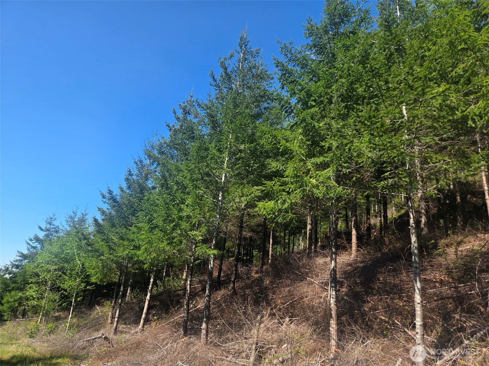 7241 W Cloquallum Road , Shelton, WA 98584