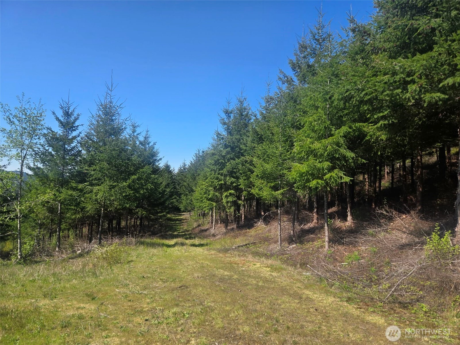 7241 W Cloquallum Road , Shelton, WA 98584