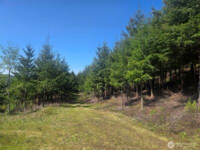 7241 W Cloquallum Road , Shelton, WA 98584 - Photo 5