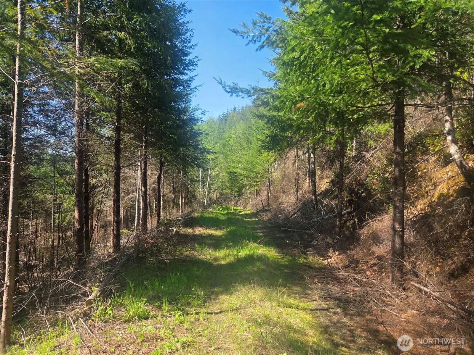 7241 W Cloquallum Road , Shelton, WA 98584