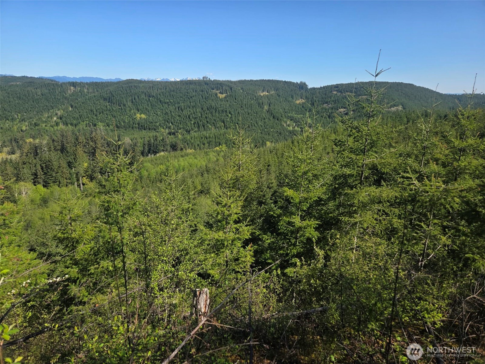 7241 W Cloquallum Road , Shelton, WA 98584