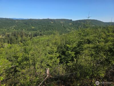 7241 W Cloquallum Road , Shelton, WA 98584 - Photo 10