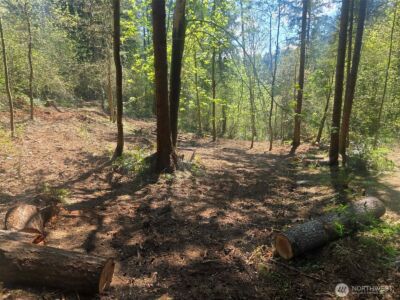 22439 Vale Court SE, Yelm, WA 98597 - Photo 1