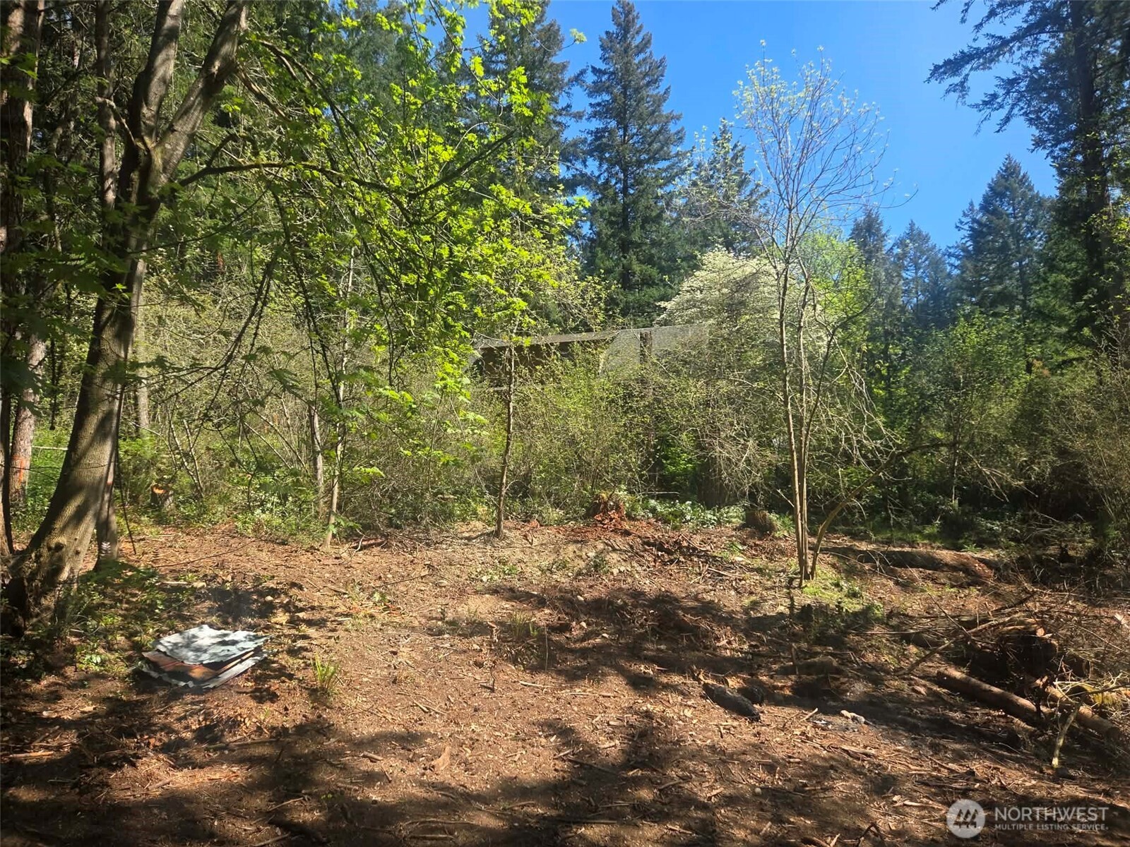 22439 Vale Court SE, Yelm, WA 98597