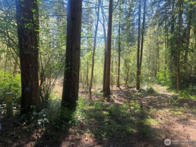 22439 Vale Court SE, Yelm, WA 98597 - Photo 4