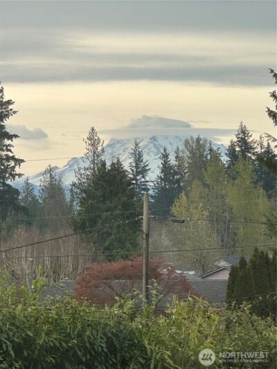 11719 8th Street E , Edgewood, WA 98372 - Photo 35