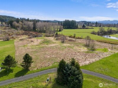 0 X Lilly Wheaton Road , Raymond, WA 98577 - Photo 1