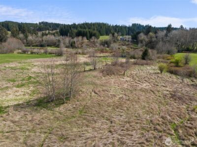 0 X Lilly Wheaton Road , Raymond, WA 98577 - Photo 4