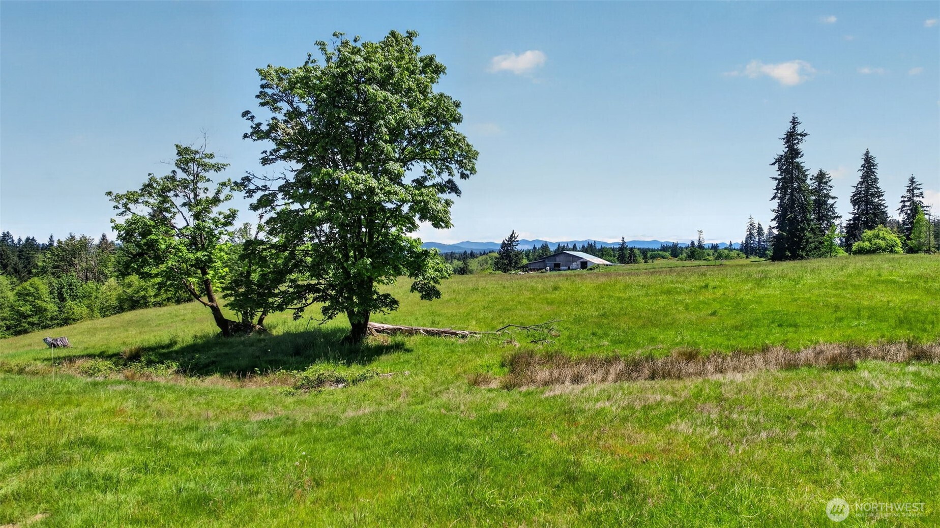 108 Birchfield Cmns , Onalaska, WA 98570