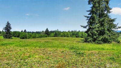 108 Birchfield Cmns , Onalaska, WA 98570 - Photo 10