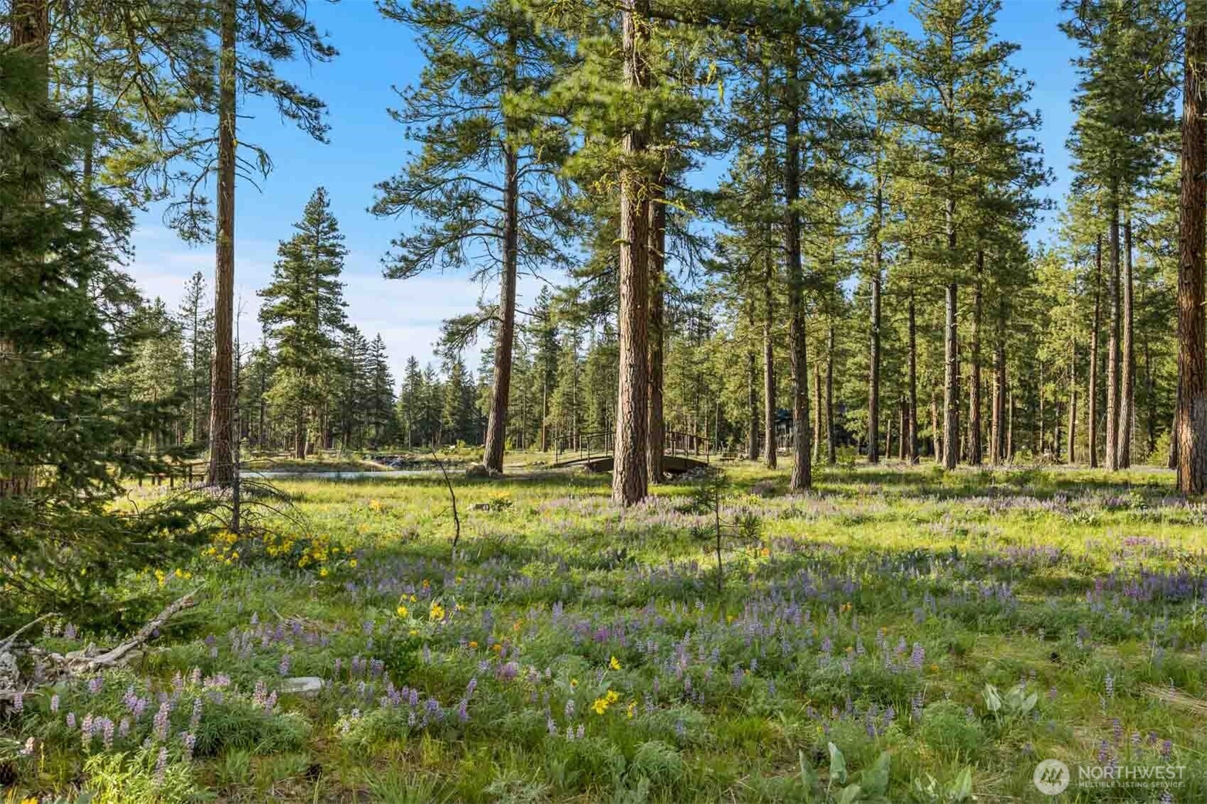53 Wanawish Loop , Cle Elum, WA 98922
