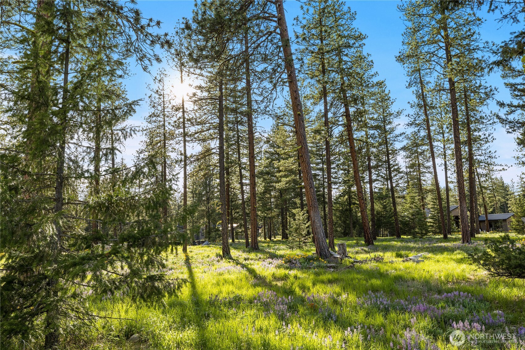 53 Wanawish Loop , Cle Elum, WA 98922