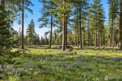53 Wanawish Loop , Cle Elum, WA 98922 - Photo 4