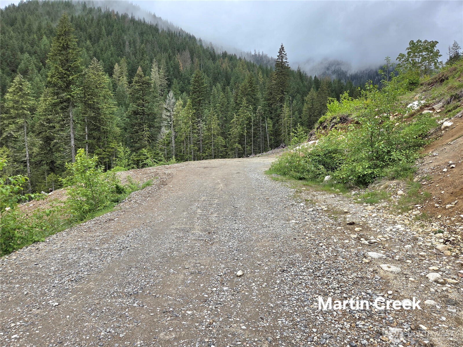 6710 6710 Martin Creek , Skykomish, WA 98288