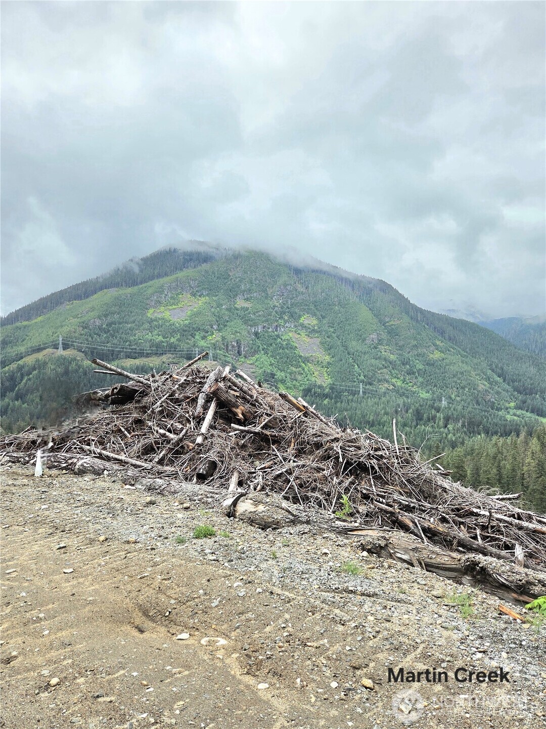 6710 6710 Martin Creek , Skykomish, WA 98288