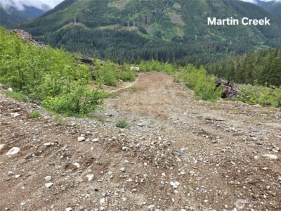 6710 6710 Martin Creek , Skykomish, WA 98288 - Photo 4