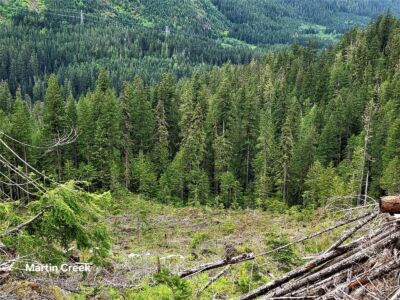 6710 6710 Martin Creek , Skykomish, WA 98288 - Photo 7