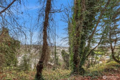 1312 15th Avenue S, Seattle, WA 98144-3427 - Photo 7