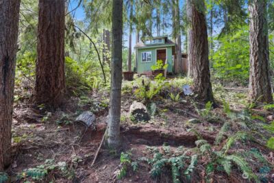 22206 Bluewater Court SE, Yelm, WA 98597 - Photo 11
