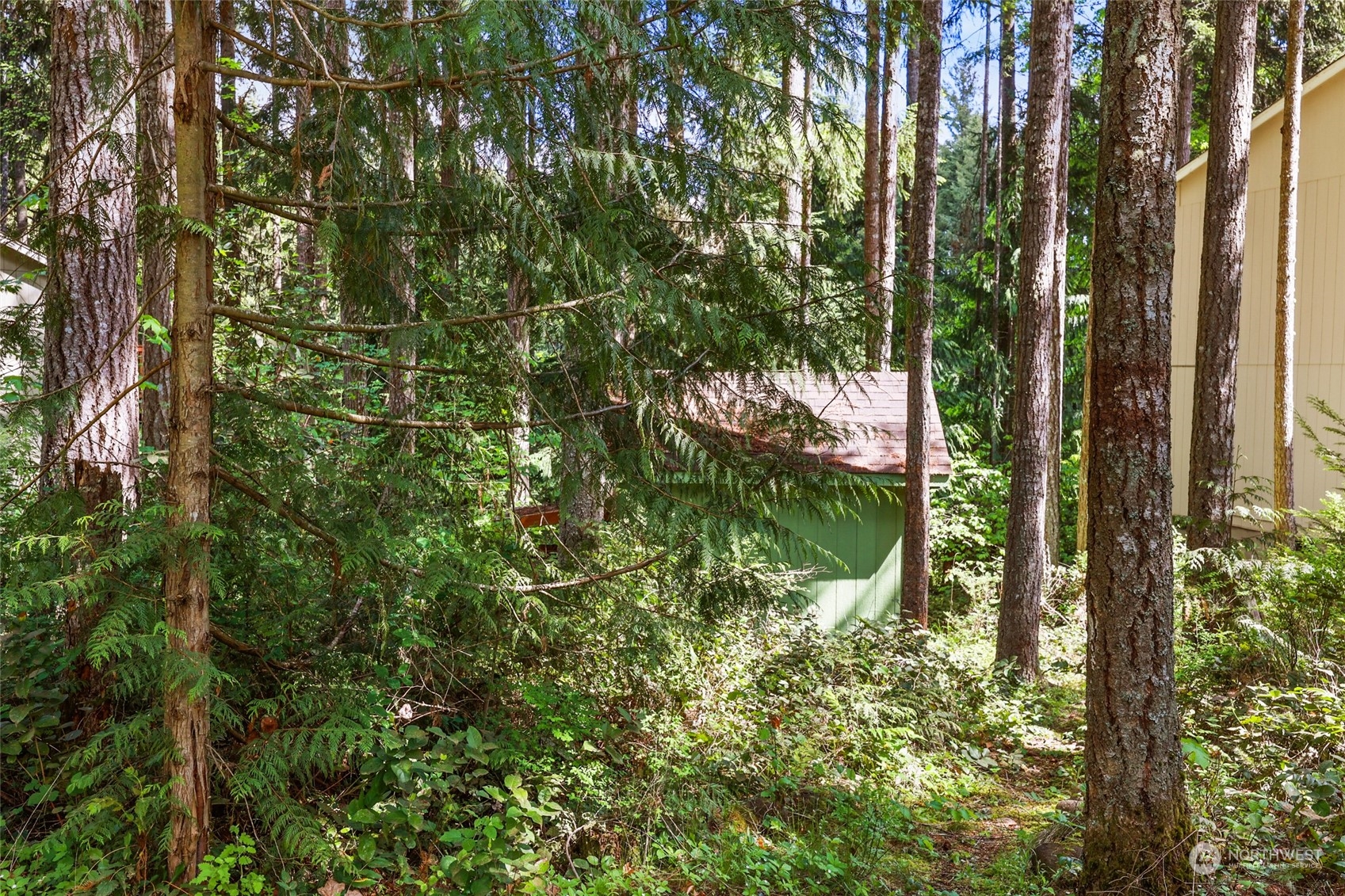 22206 Bluewater Court SE, Yelm, WA 98597