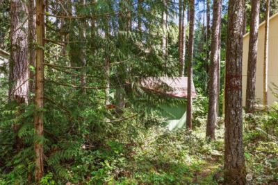 22206 Bluewater Court SE, Yelm, WA 98597 - Photo 12