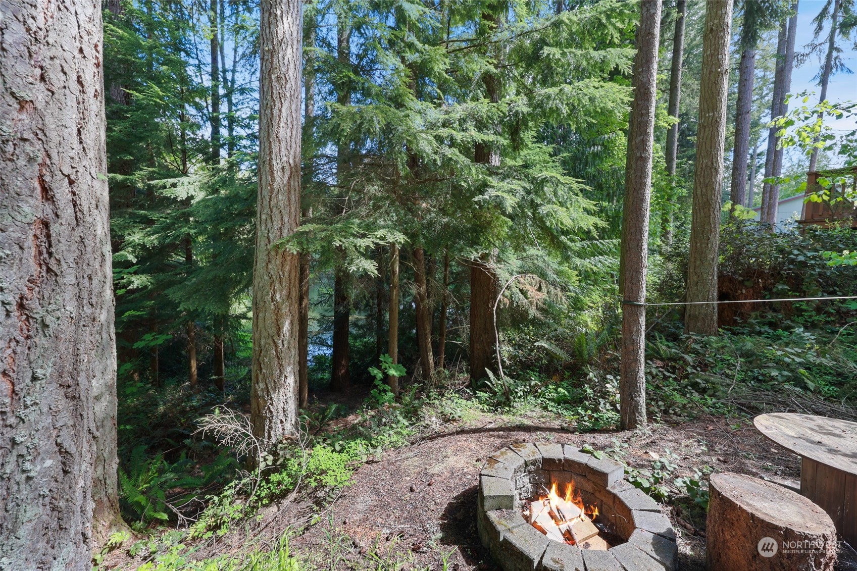 22206 Bluewater Court SE, Yelm, WA 98597