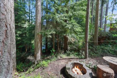 22206 Bluewater Court SE, Yelm, WA 98597 - Photo 13