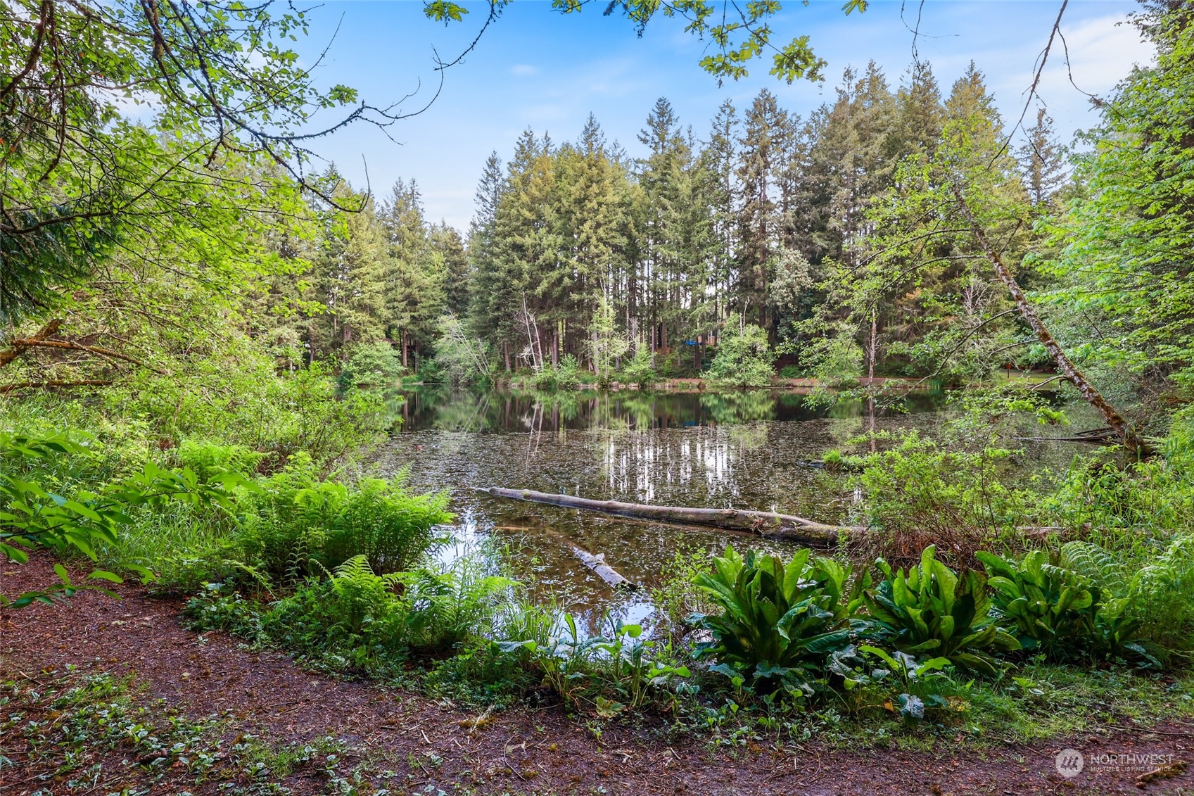 22206 Bluewater Court SE, Yelm, WA 98597