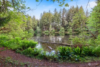 22206 Bluewater Court SE, Yelm, WA 98597 - Photo 14