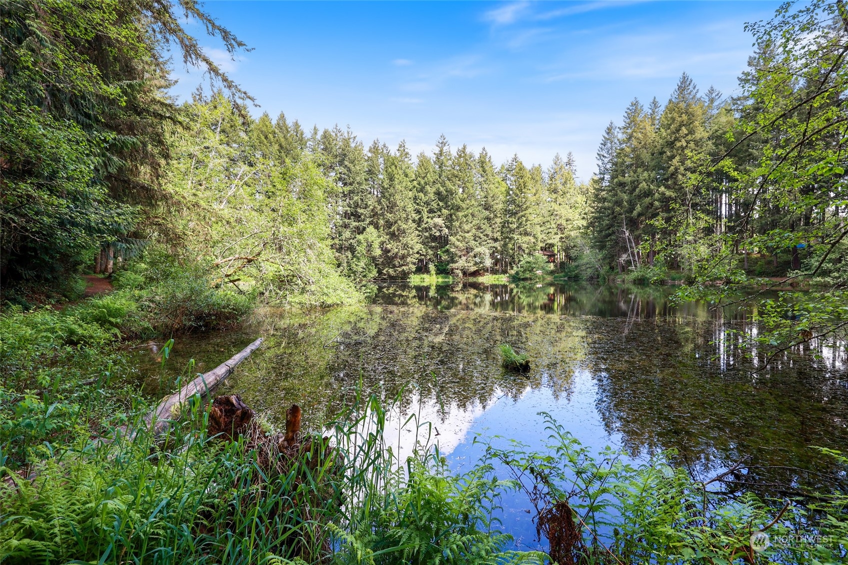 22206 Bluewater Court SE, Yelm, WA 98597