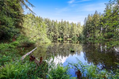 22206 Bluewater Court SE, Yelm, WA 98597 - Photo 15