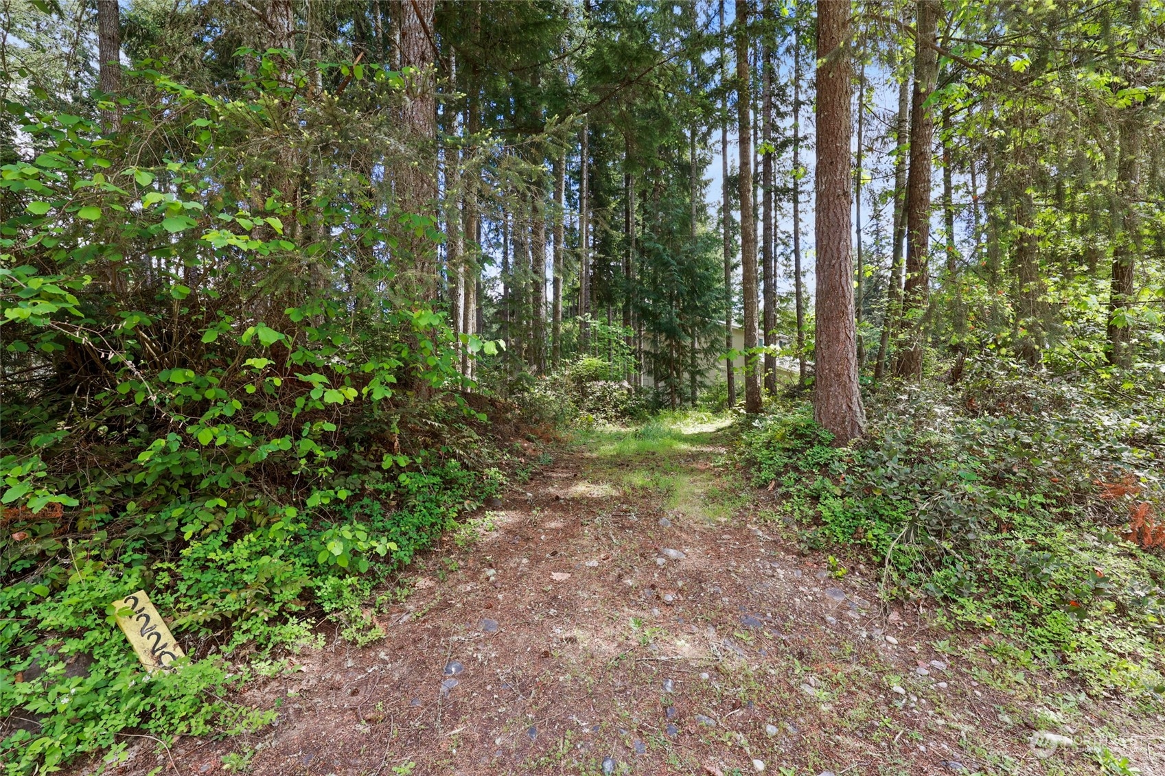 22206 Bluewater Court SE, Yelm, WA 98597
