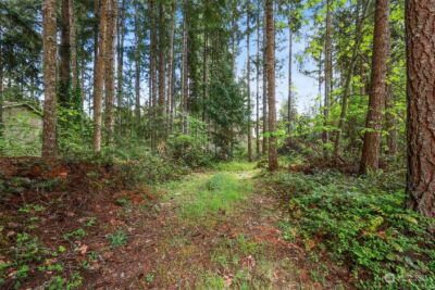 22206 Bluewater Court SE, Yelm, WA 98597 - Photo 2