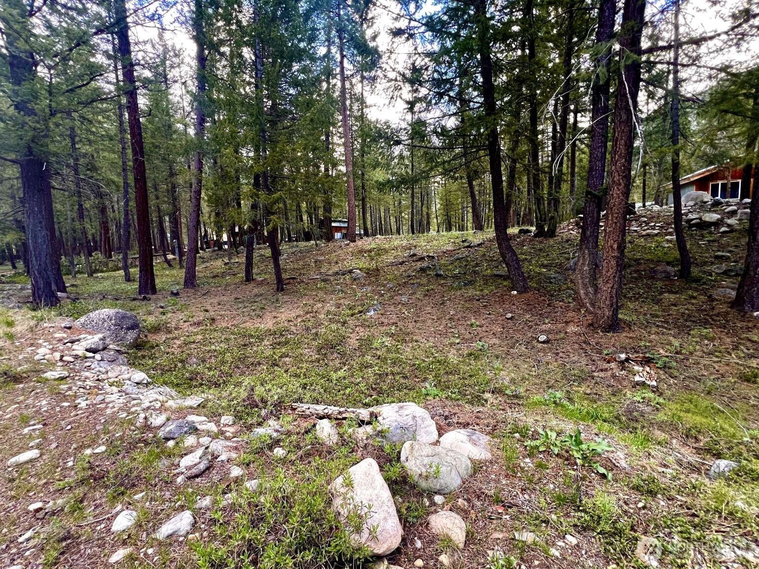 35 Emerson Road , Mazama, WA 98833