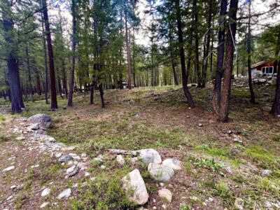 35 Emerson Road , Mazama, WA 98833 - Photo 1