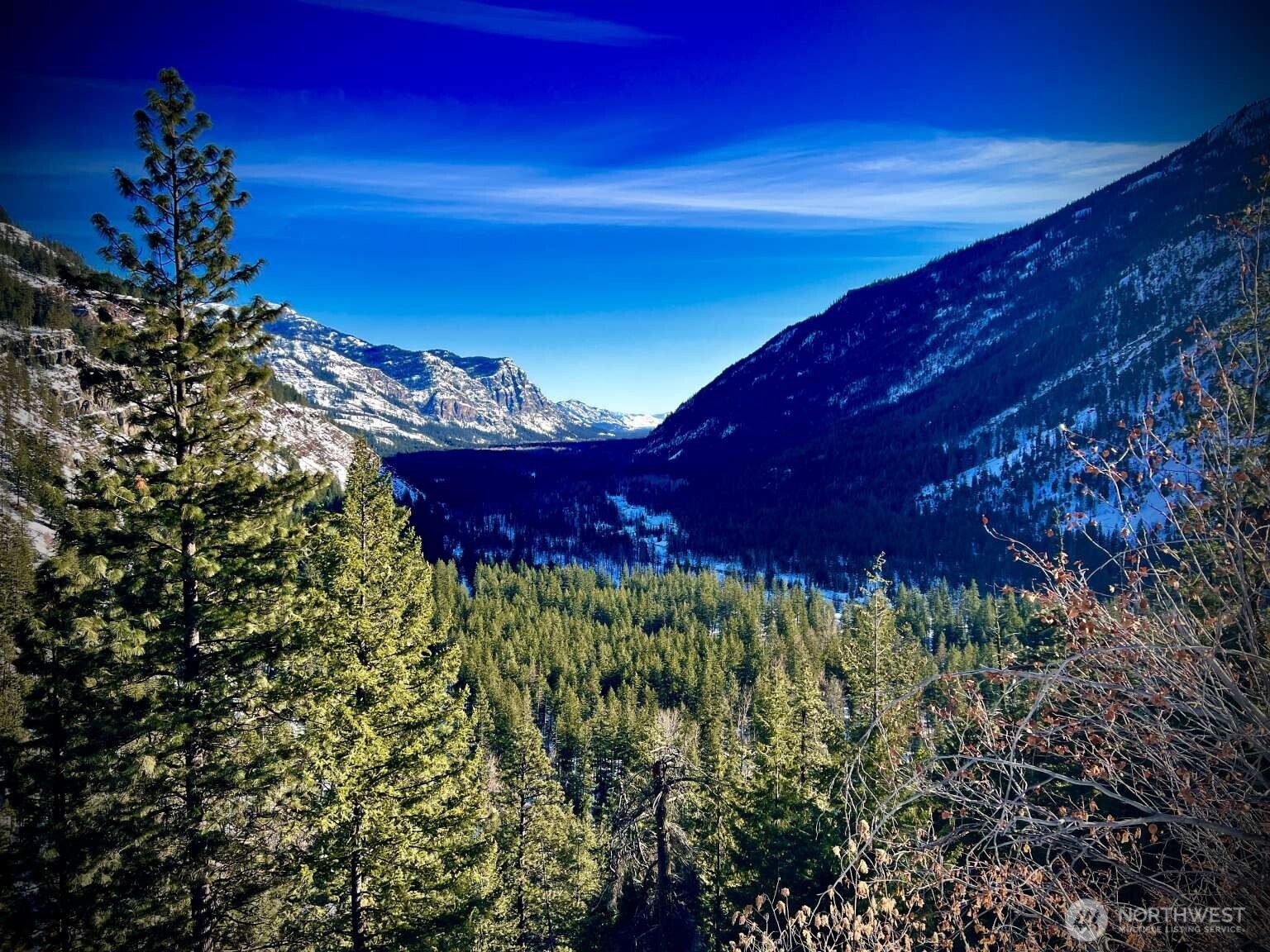 35 Emerson Road , Mazama, WA 98833