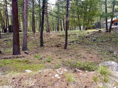 35 Emerson Road , Mazama, WA 98833 - Photo 2