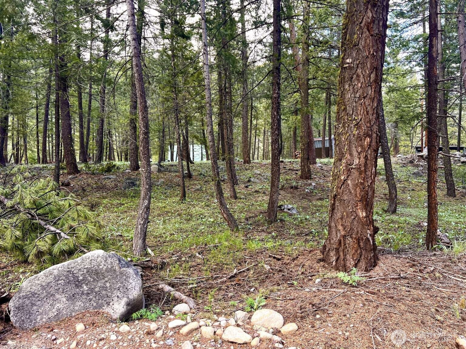 35 Emerson Road , Mazama, WA 98833