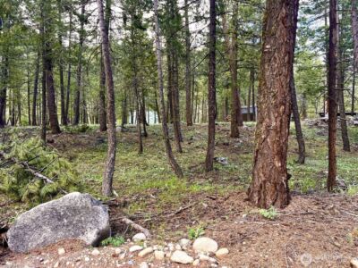 35 Emerson Road , Mazama, WA 98833 - Photo 3