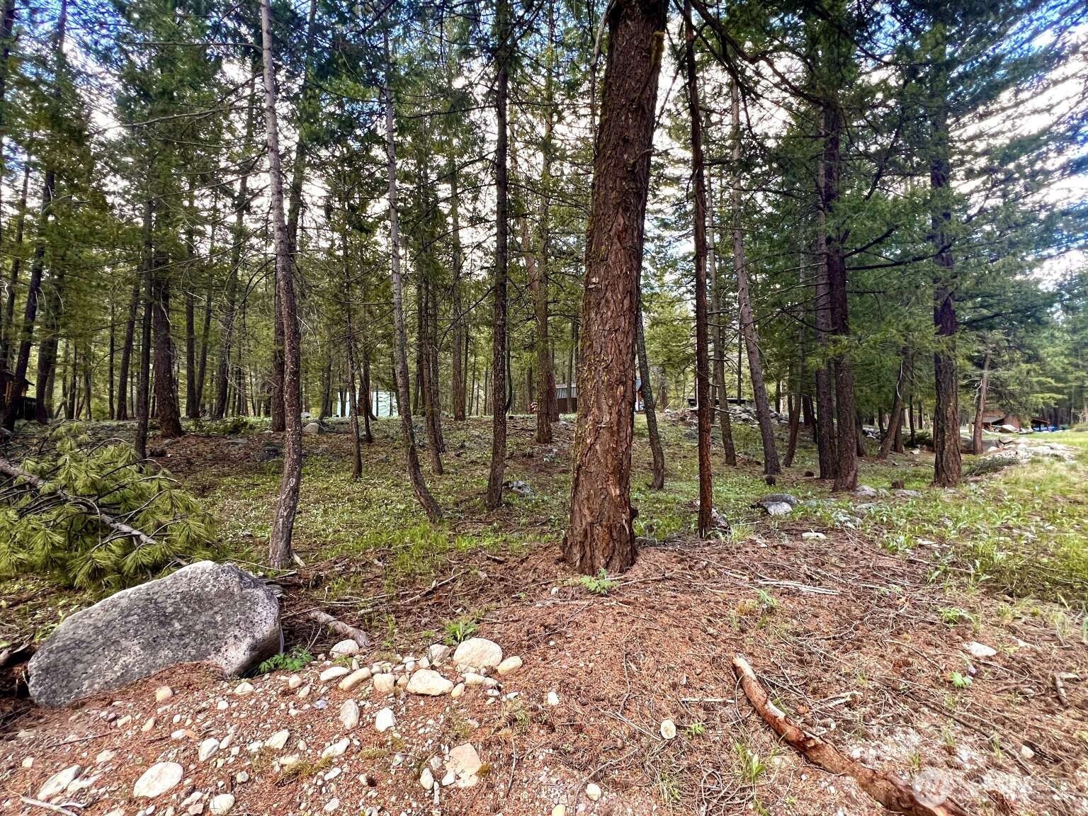 35 Emerson Road , Mazama, WA 98833