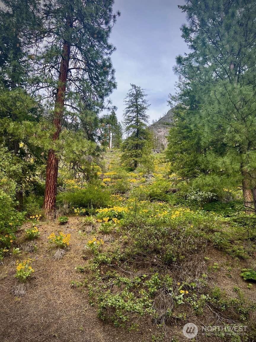 35 Emerson Road , Mazama, WA 98833