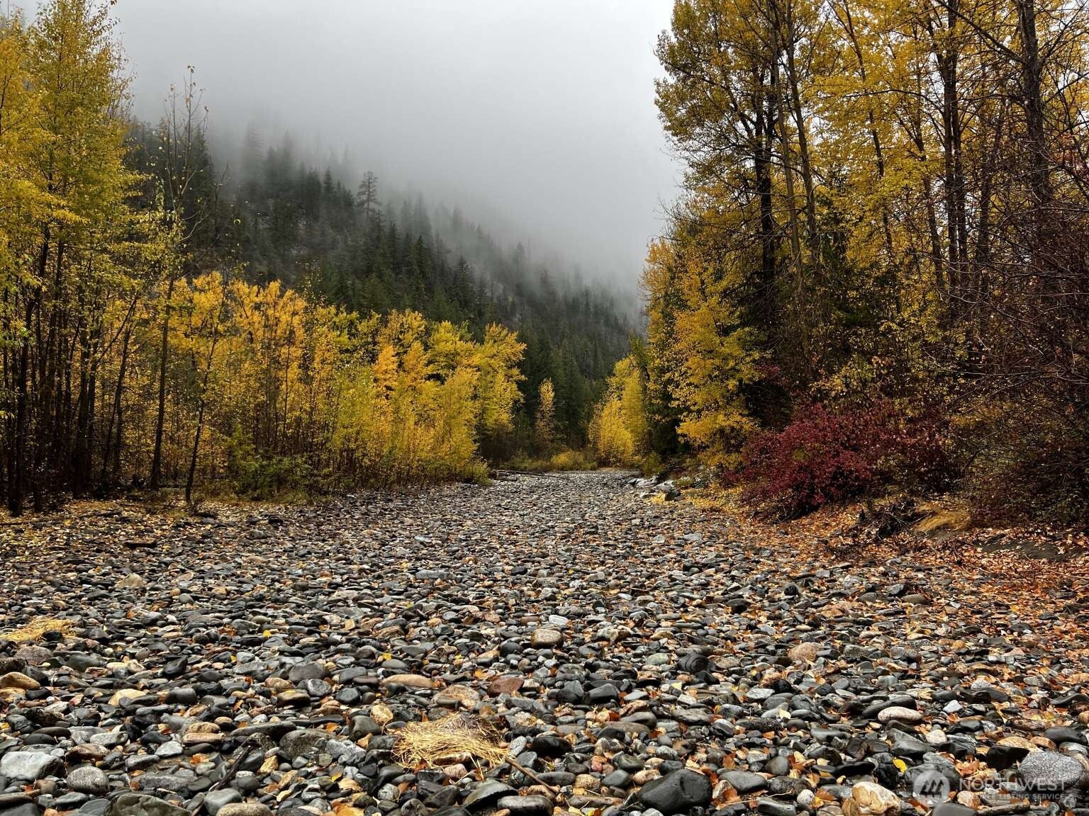 35 Emerson Road , Mazama, WA 98833