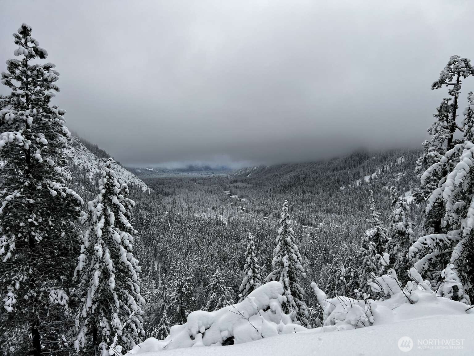 35 Emerson Road , Mazama, WA 98833